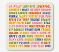 Lady parts coaster