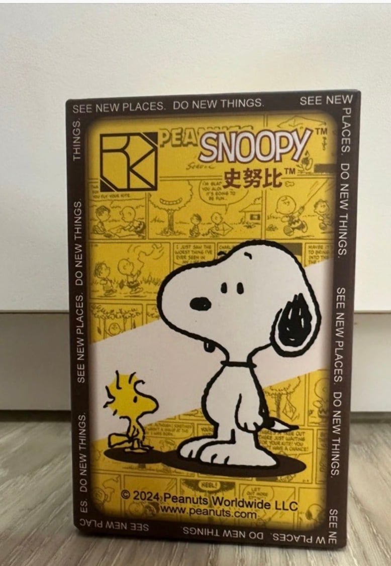 Snoopy See New Places Blind Box 🐶