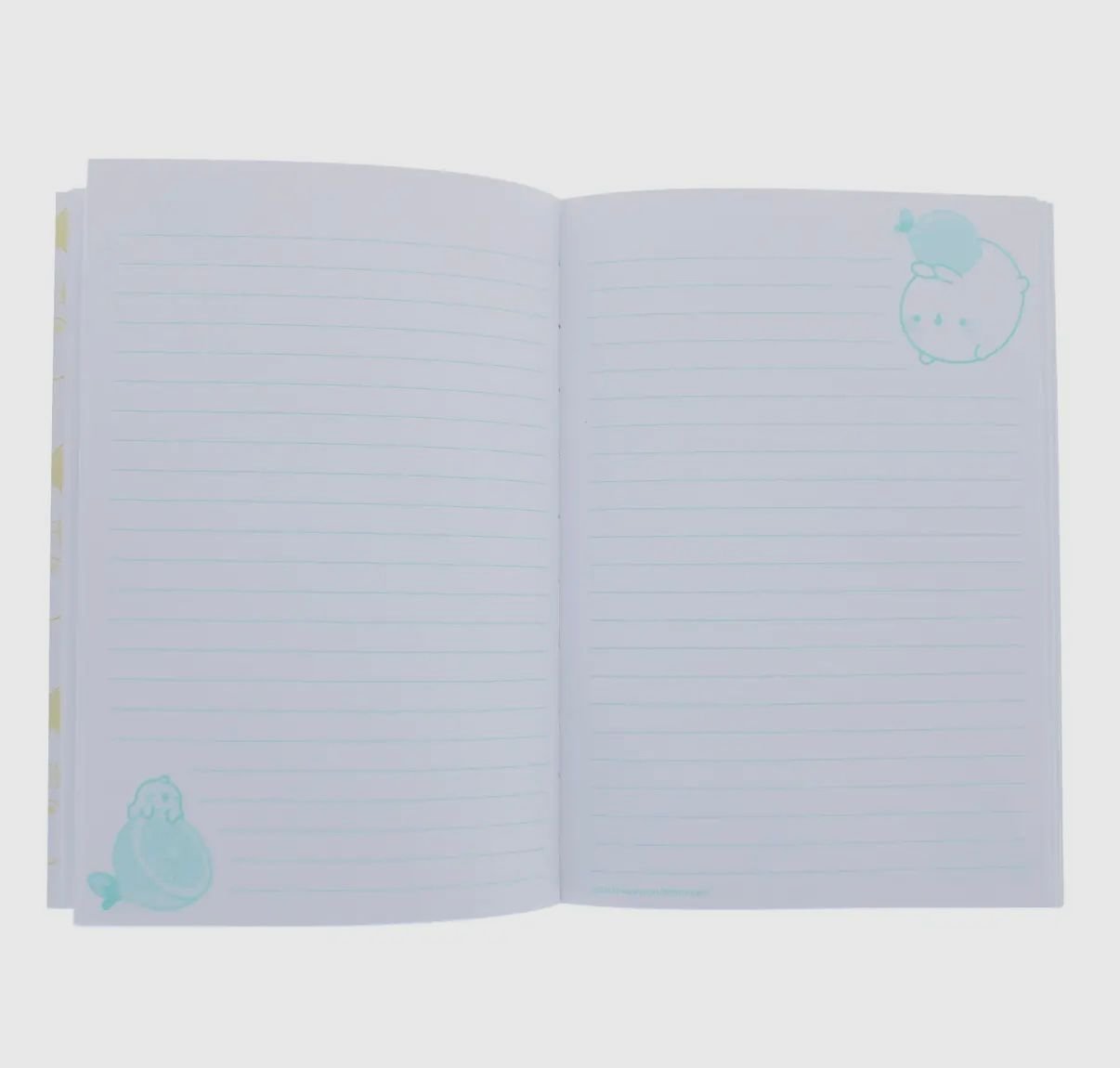 Molang Fruits Notebook 🍓🍒🍌