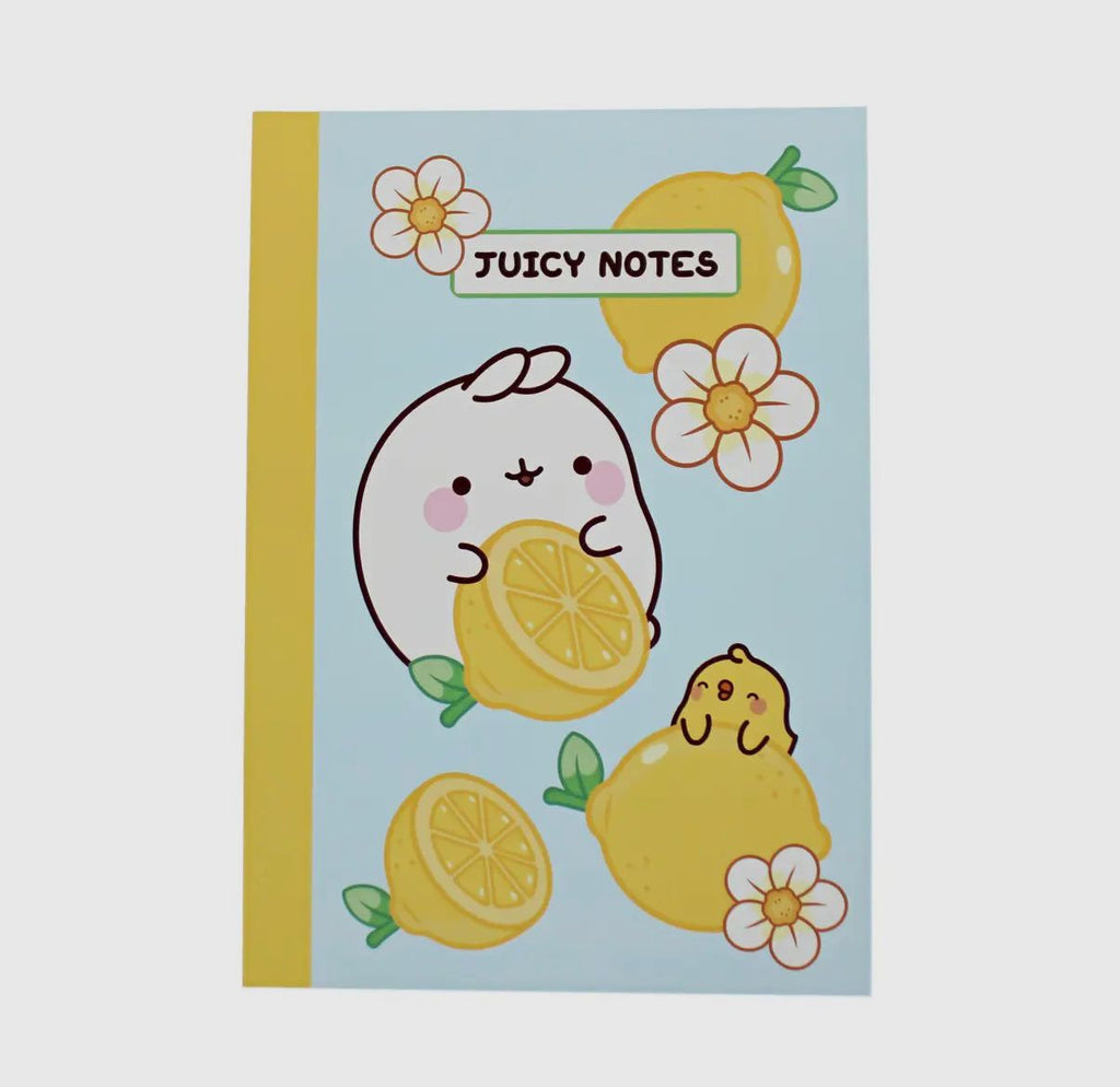Molang Fruits Notebook 🍓🍒🍌