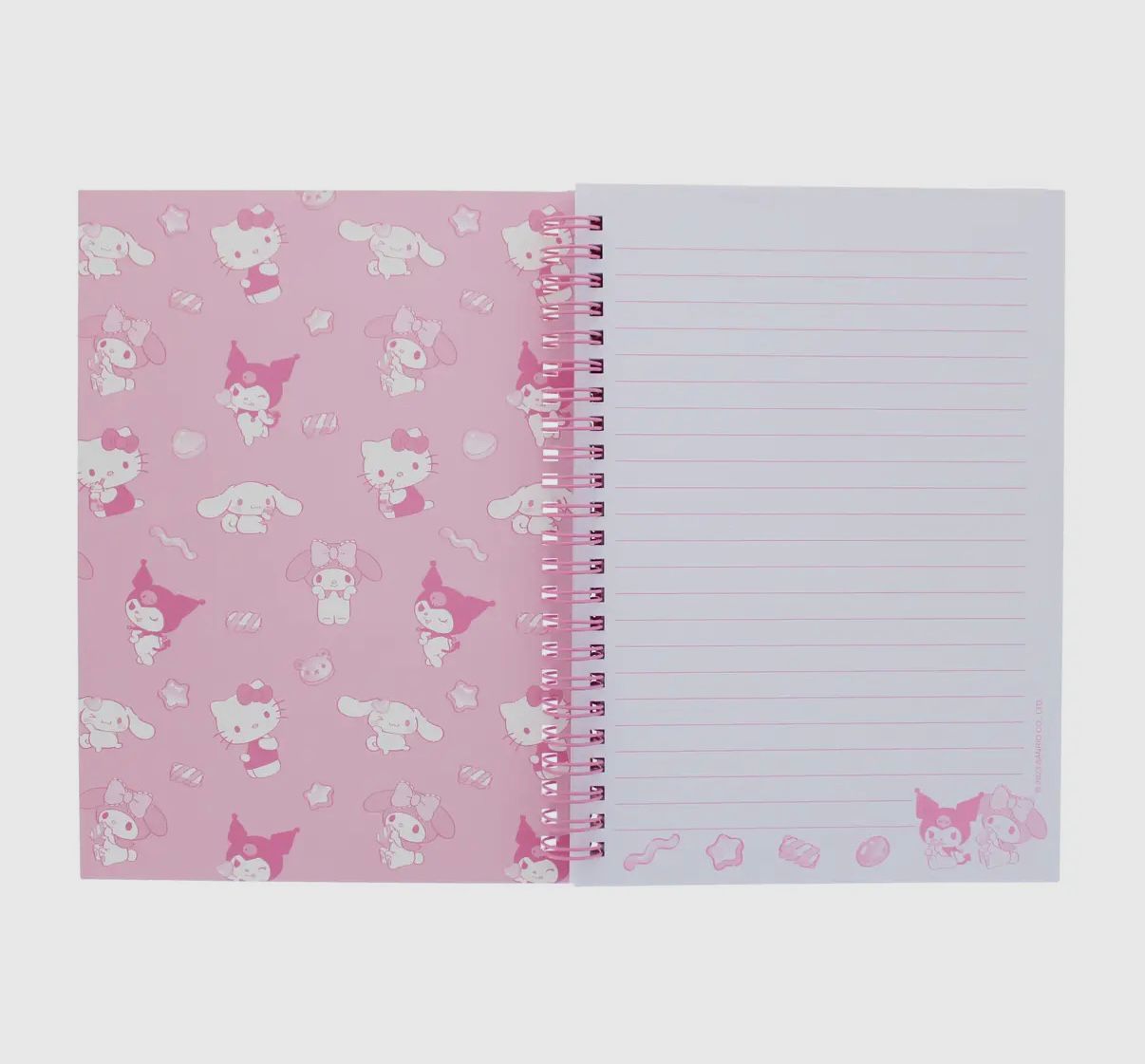 Sanrio Notebook 🎀