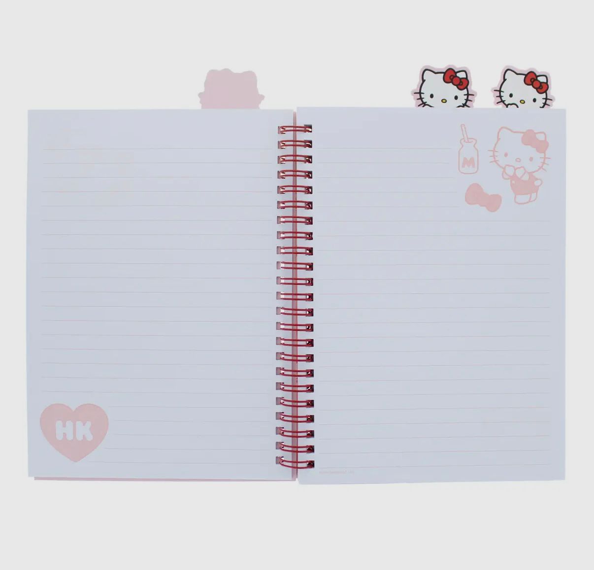 Sanrio Notebook 🎀