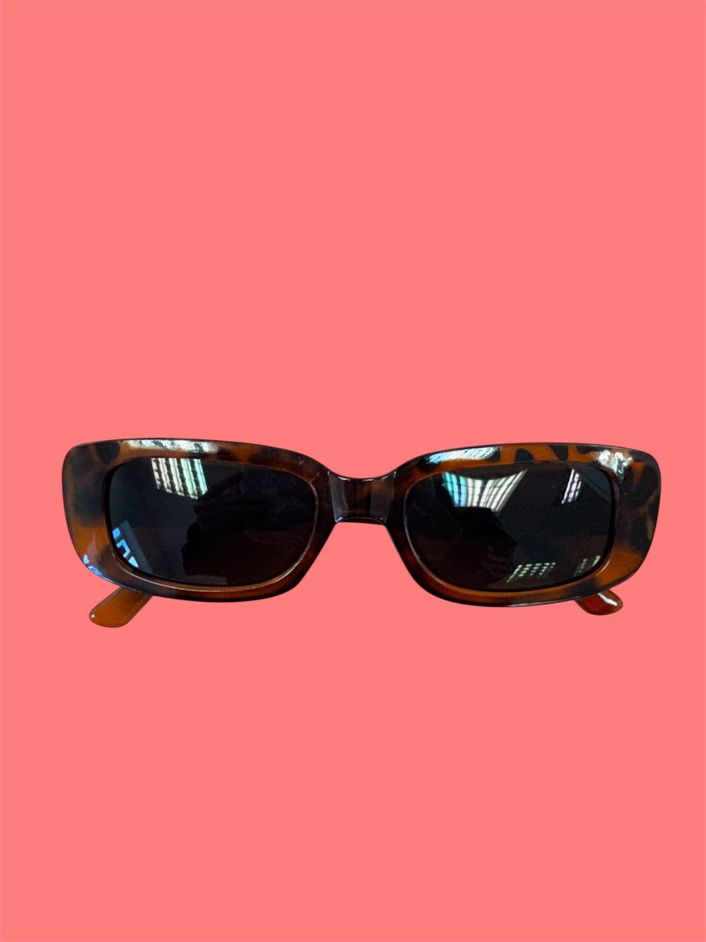 Sunnies 😎